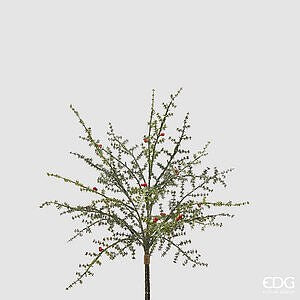 Asparago Selvatico con Bacche Mazzo X3 MZ H.50 C6 - Green Red