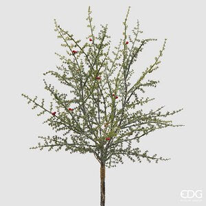 Asparago Selvatico con Bacche Mazzo X3 MZ H.70 C6 - Green Red
