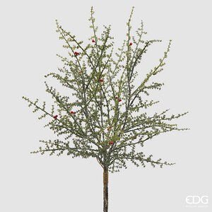 Asparago Selvatico con Bacche Mazzo X3 MZ H.70 C6 - Green Red - Fiori e rami artificiali - EDG Enzo De Gasperi - Jammy Dude