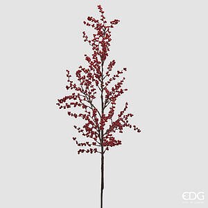 Ilex Ramo H.107 C5 - Red