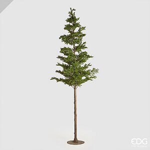 Pino West Tronco-lungo H250 (PICEA)C0 - Green