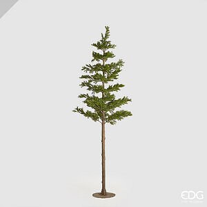 Pino West Tronco-lungo H216 (PICEA)C0 - Green
