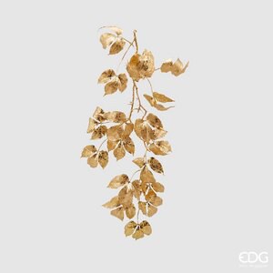 Cissus Bell Glitt.cadente H74 (x) C1 - Gold