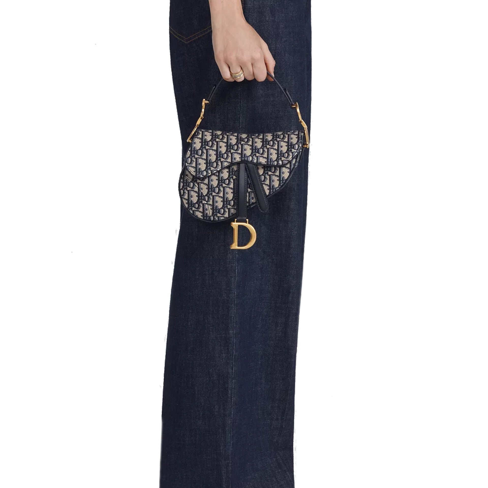 Dior Mini Saddle Shoulder Bag