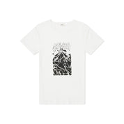 Celine Printed Cotton T-Shirt